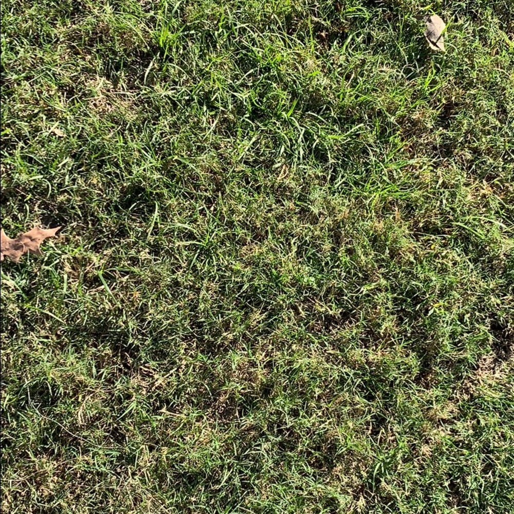 Meet your Posher, Madi